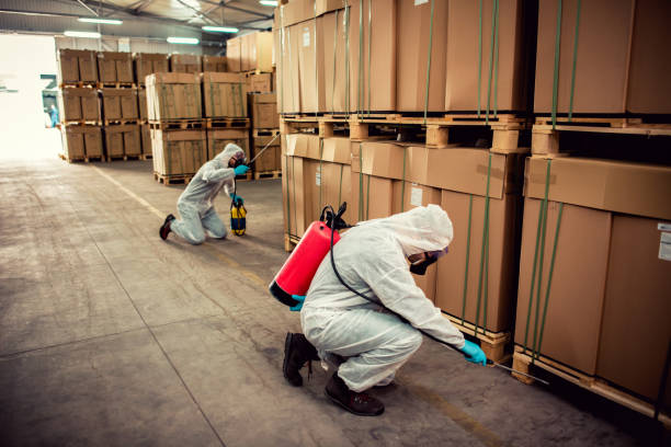 Best Best Pest Control Companies  in Banner Elk, NC