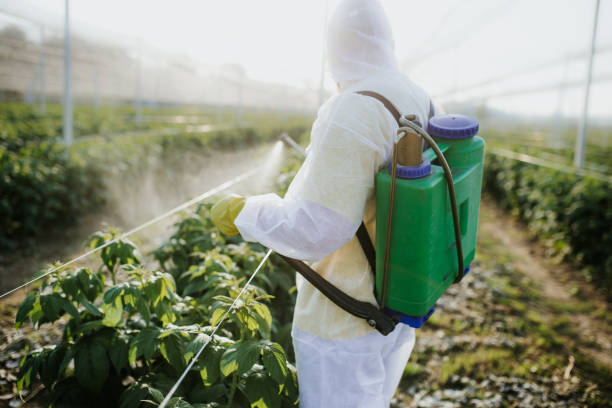 Best Pest Control for Homes  in Banner Elk, NC